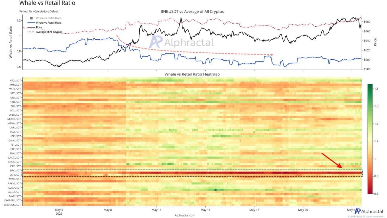 Cá voi bán khống BNB tăng vọt, liệu bò đang bỏ qua cảnh báo? - Tin Tức Bitcoin - Cập Nhật Tin Tức Coin Mới Nhất 24/7 2025 bnb