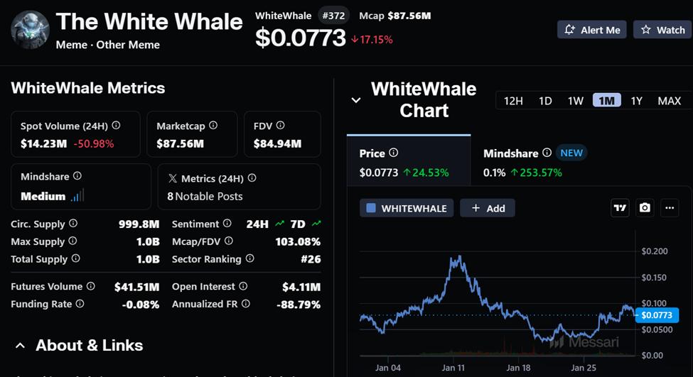 화이트웨일 지표
