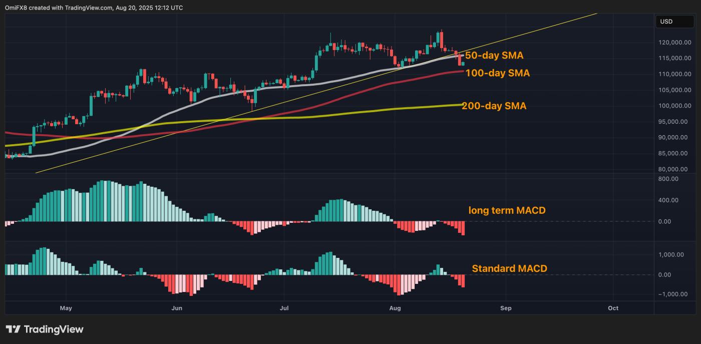 BTC's daily chart. (TradingView)