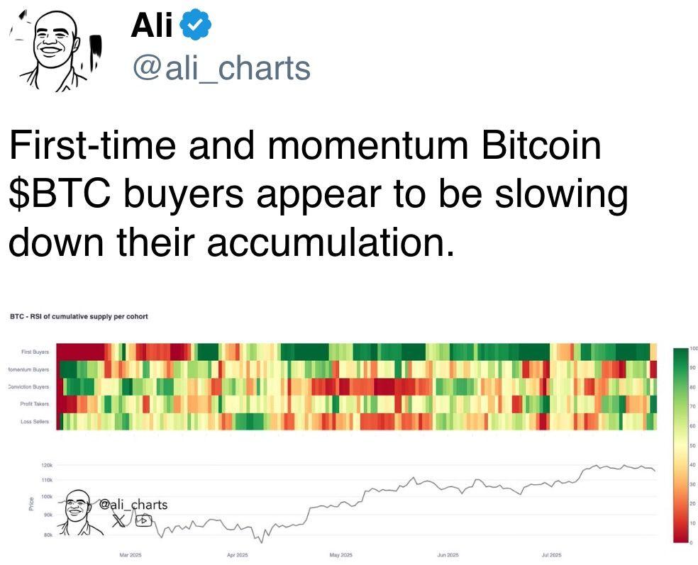 First-time and momentum Bitcoin $BTC buyers appear to be slowing down their accumulation. First-time and momentum Bitcoin $BTC buyers appear to be slowing down their accumulation.