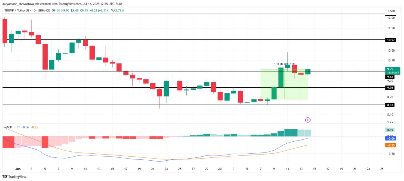TRUMP 가격 분석.