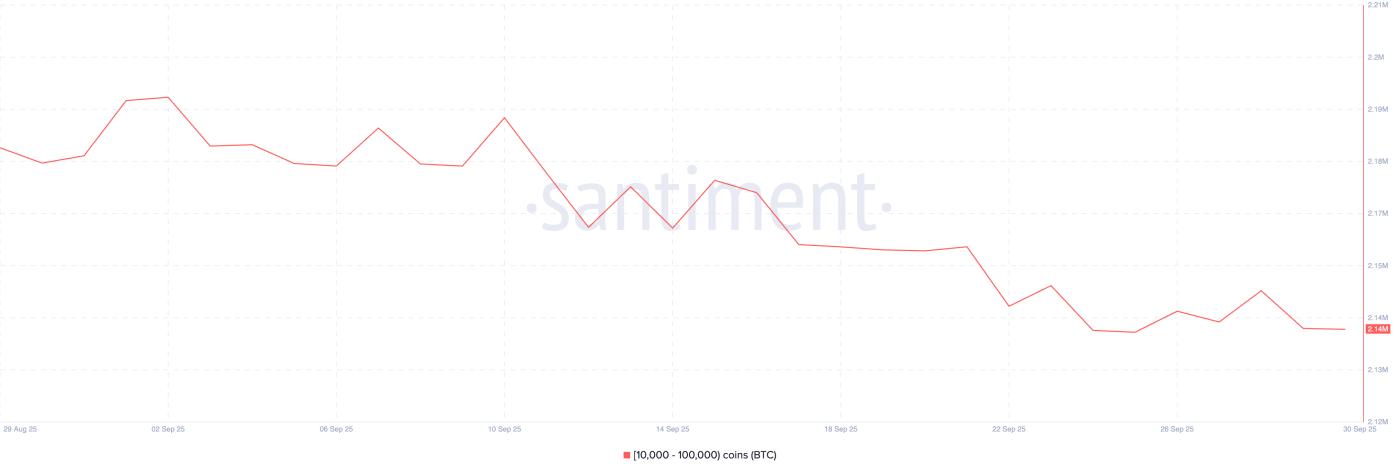 BTC 공급 분포.