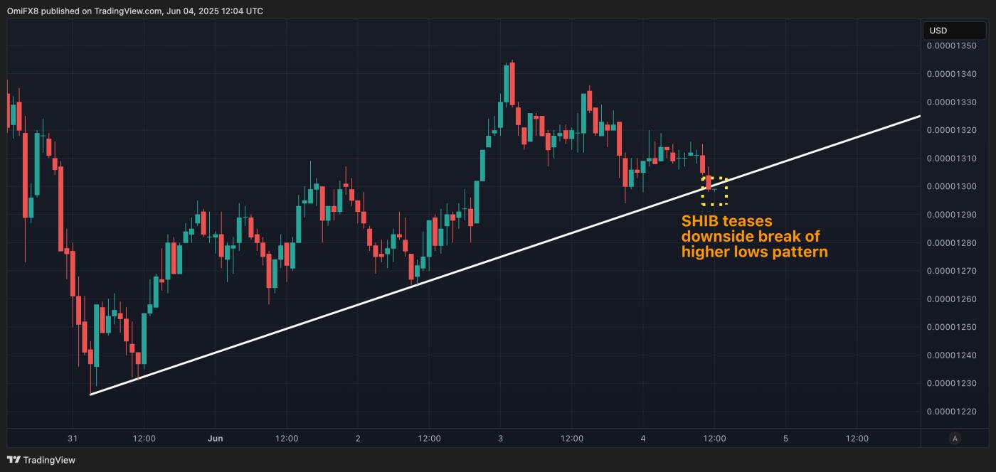 SHIB's hourly chart. (TradingView/CoinDesk)