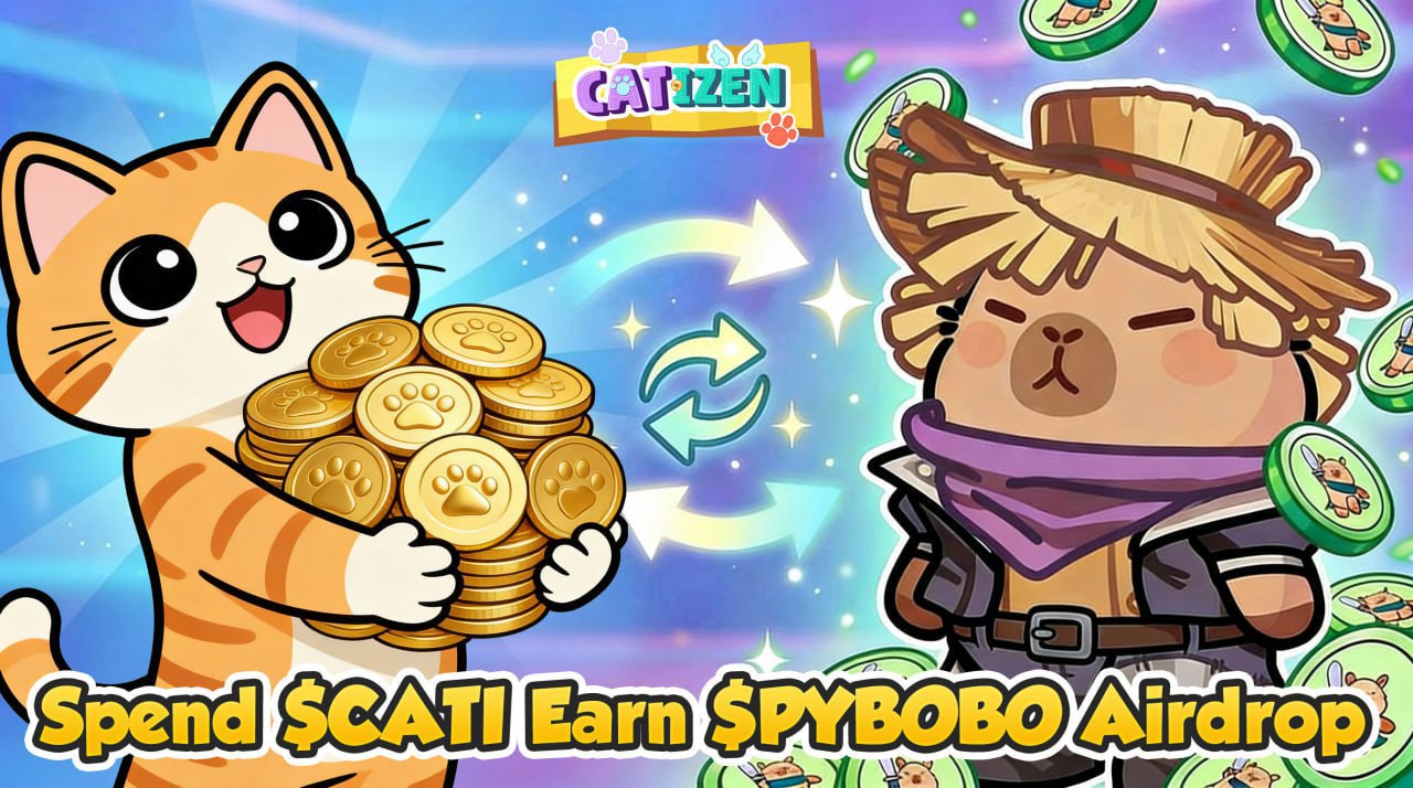 나백이의 코인라이프의 인사이트