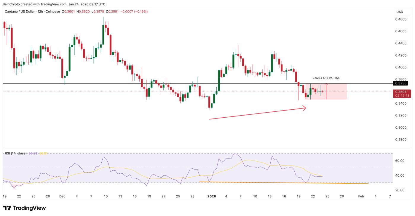 ADA에 대한 약한 발산