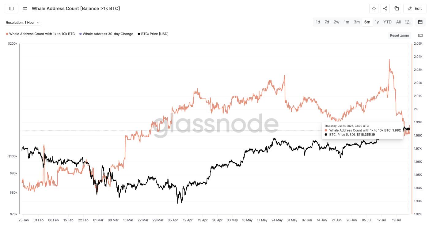 Bitcoin price and whale address count