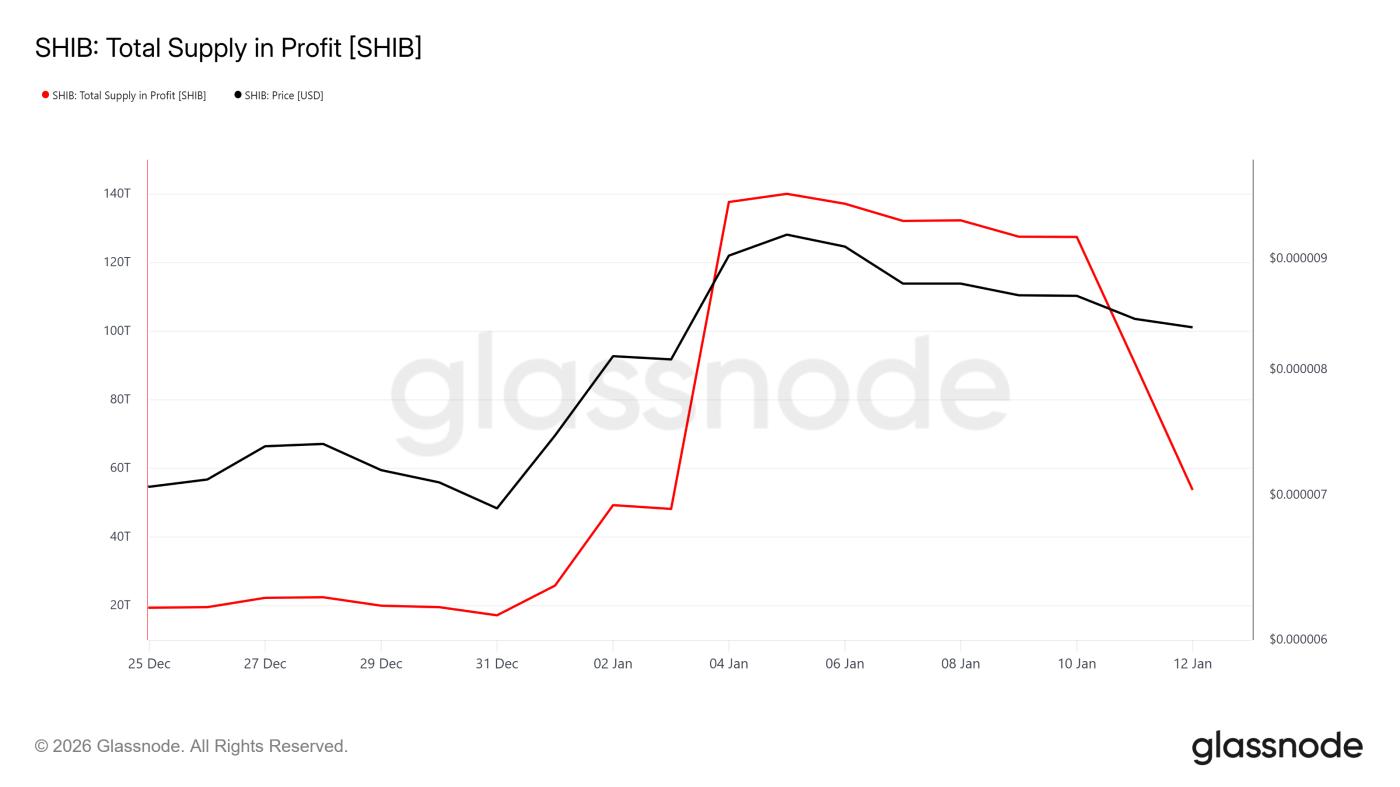 Cung cấp chó Shiba Inu để kiếm lời