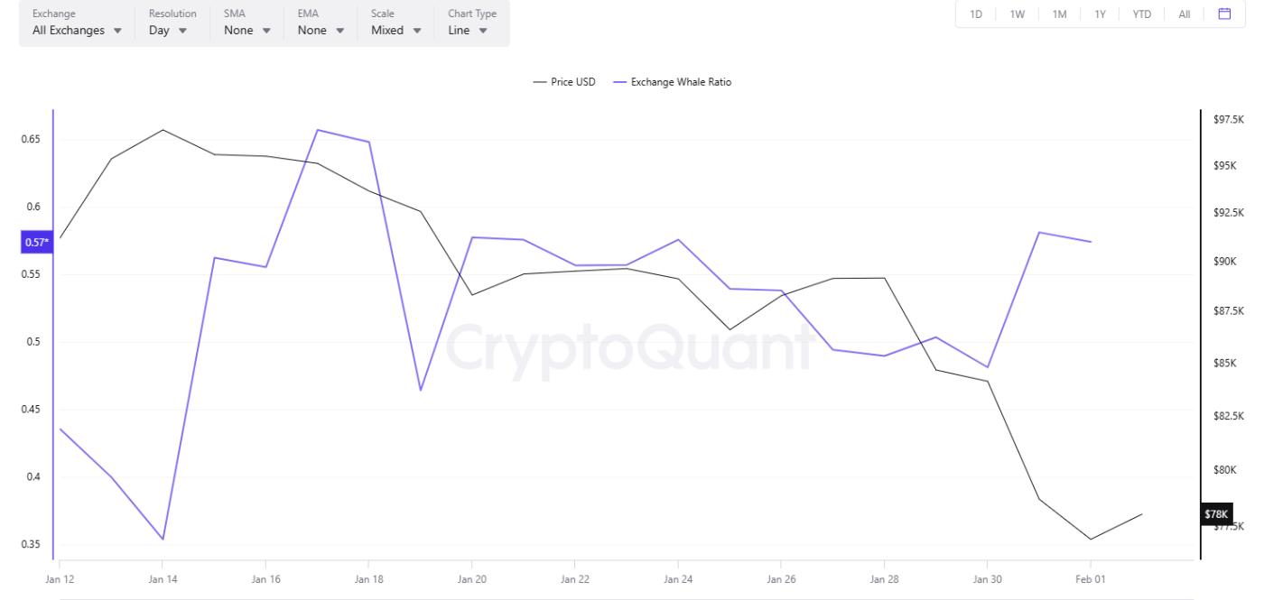 Whales Buy BTC As Bitcoin Price Drops
