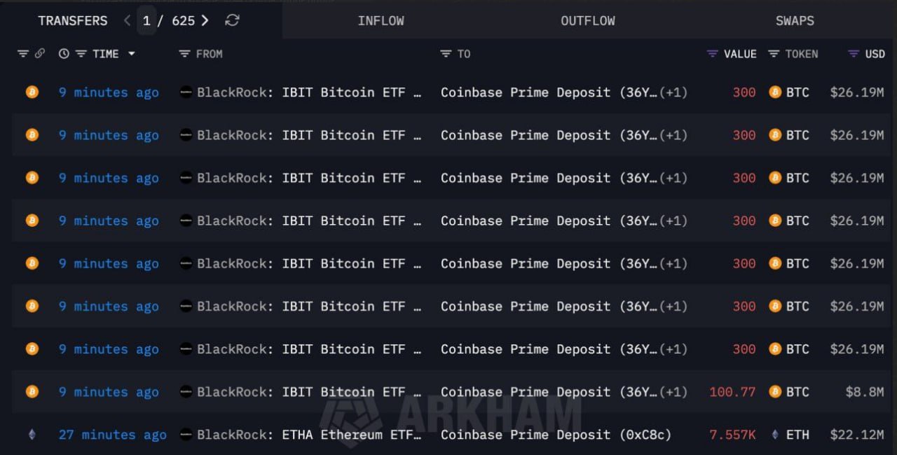 DEGEN - INSIGHTS的想法