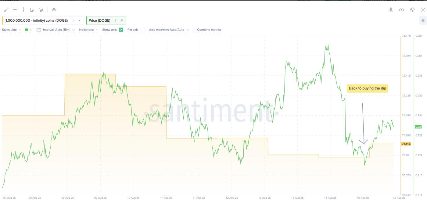 Dogecoin whales are buying the dip