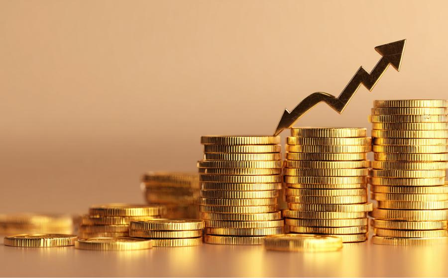 Stake Cryptocurrency