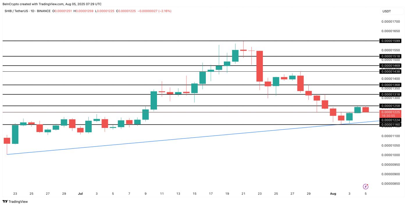 Shiba Inu price analysis