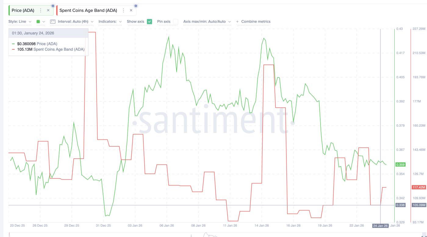 코인 활동 최고치