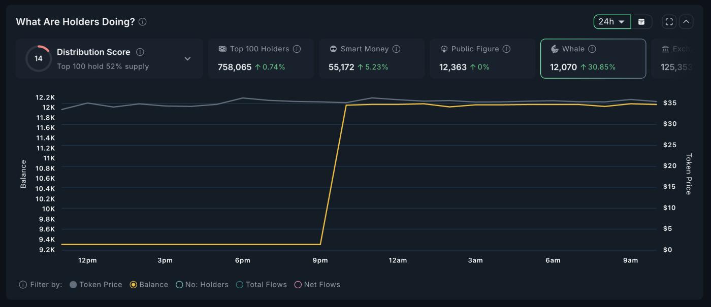 Phân tích Cá voi CLANKER.