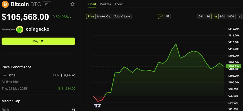 Hiệu Suất Giá Bitcoin (BTC)