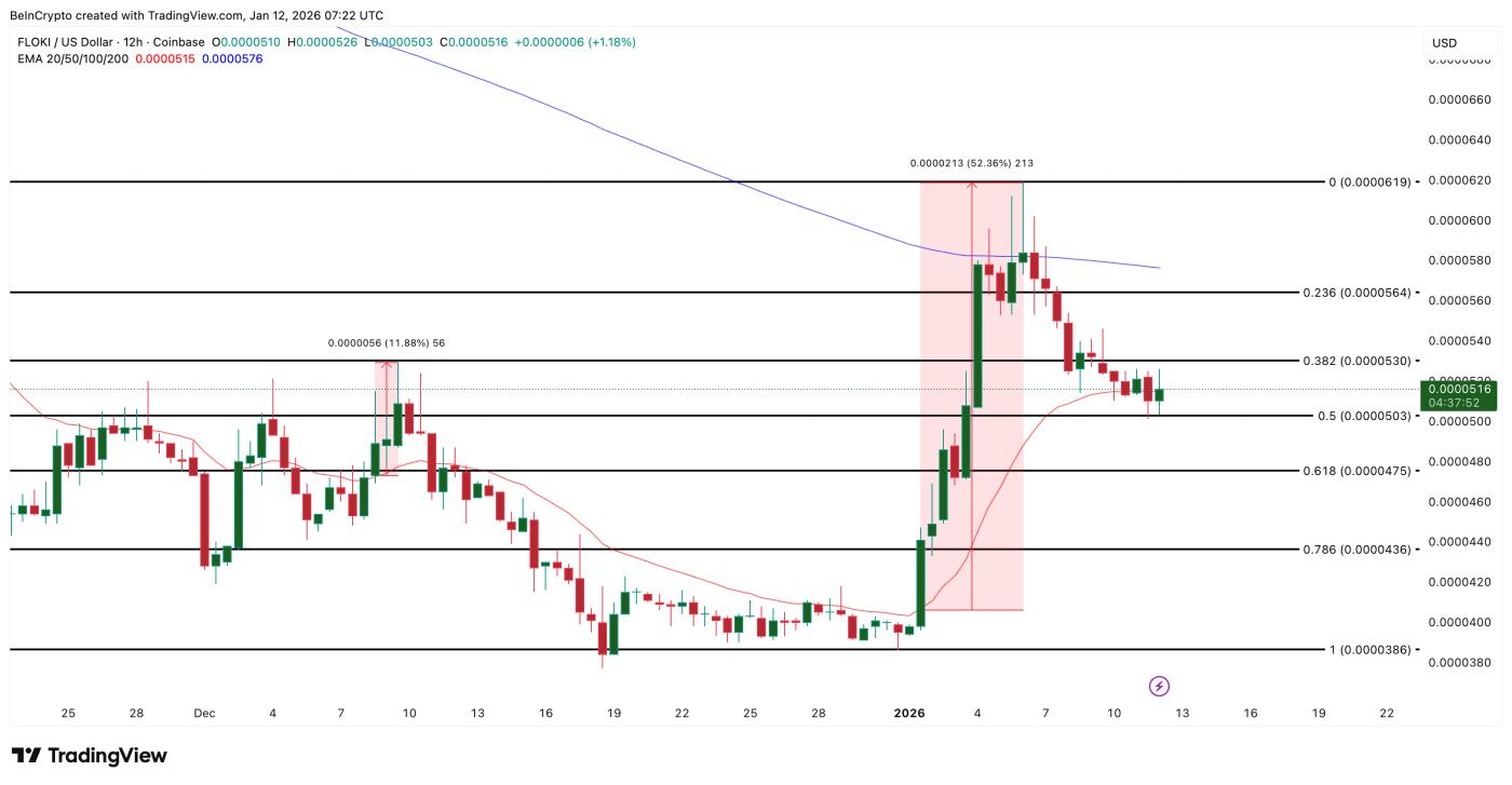 FLOKI Price Analysis