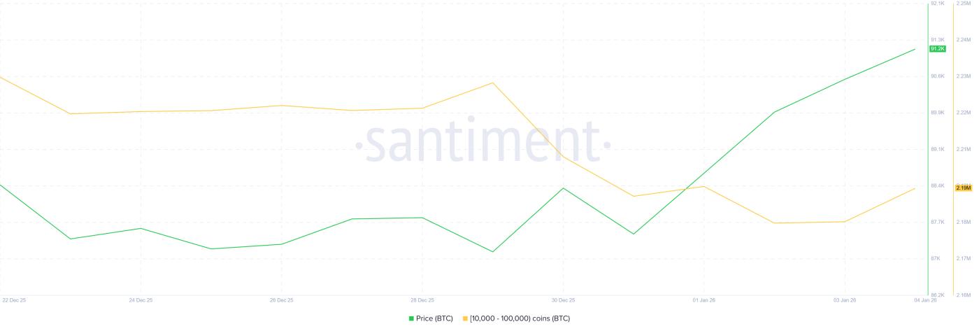 Bitcoin Whale Holding.