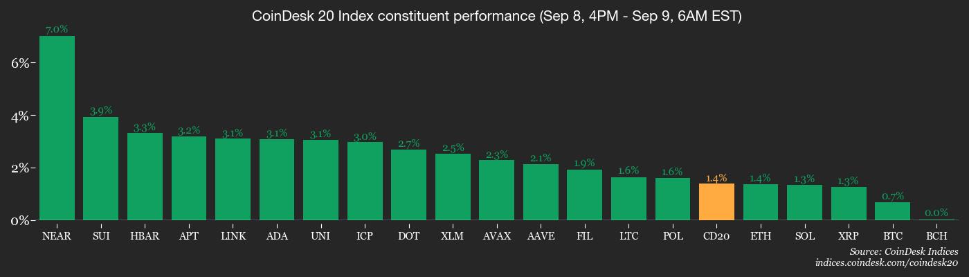 CoinDesk 20 位成员的表现 CoinDesk 20 members’ performance