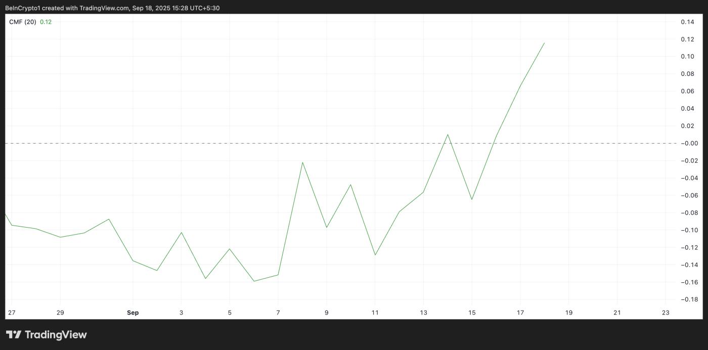 cardano cmf