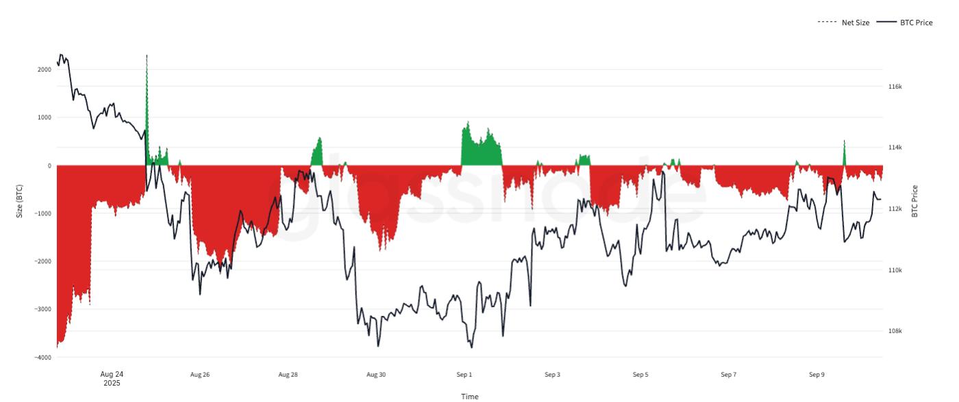 Pressure Points: Liquidation Heatmaps & Market Bias