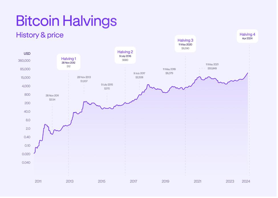 Bitcoin Halving Price Performance History