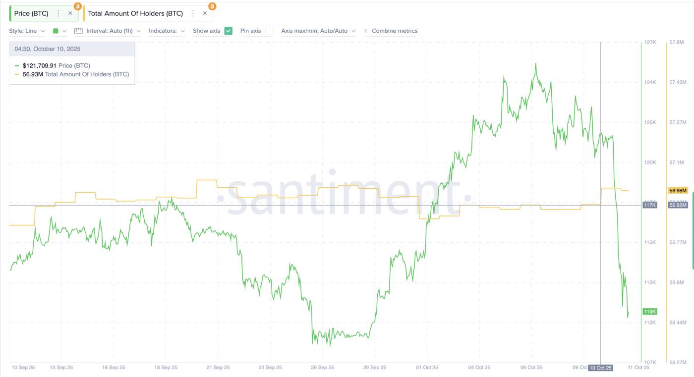 Bitcoin Holders Increase