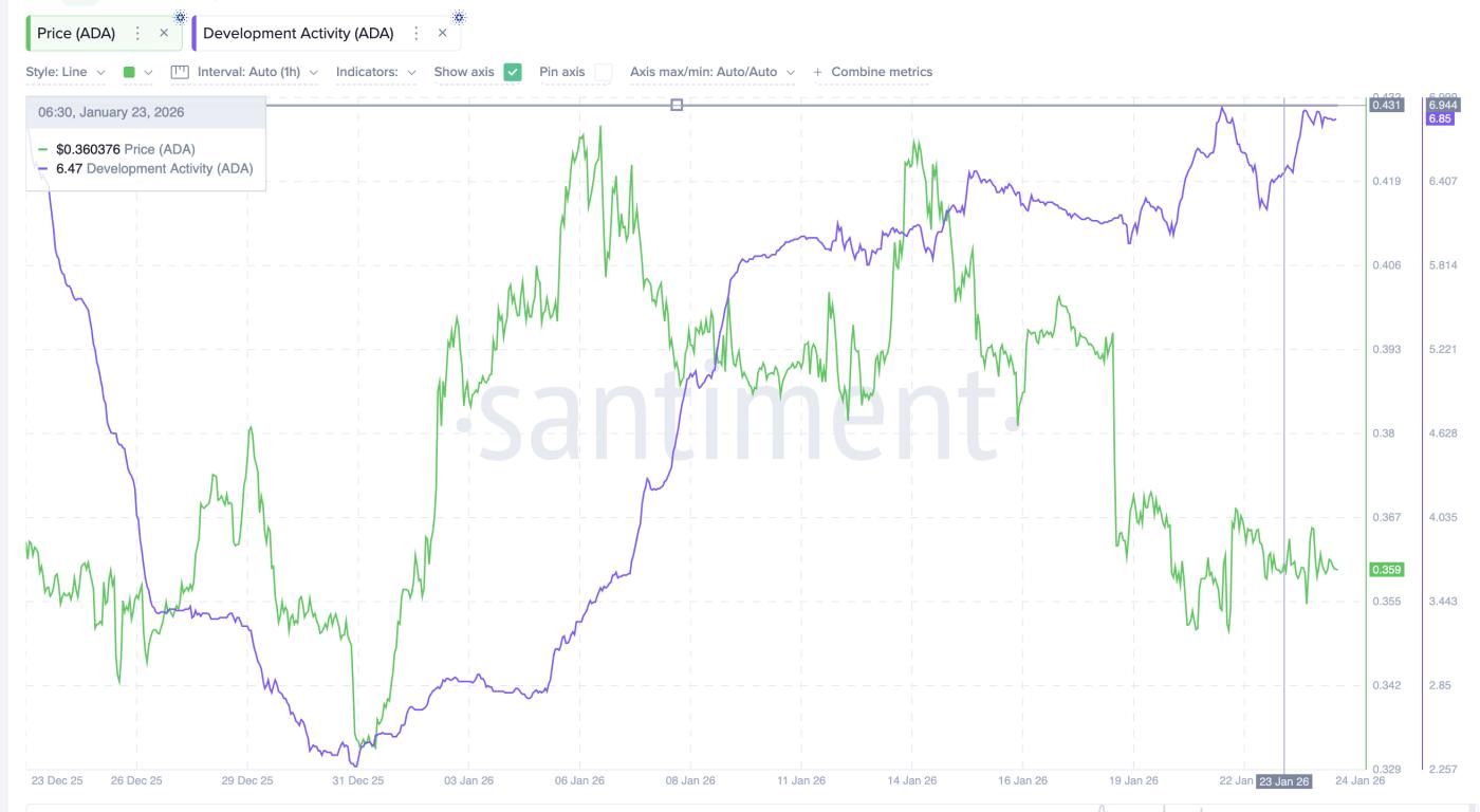 개발 활동이 정점을 찍은 후 감소합니다.