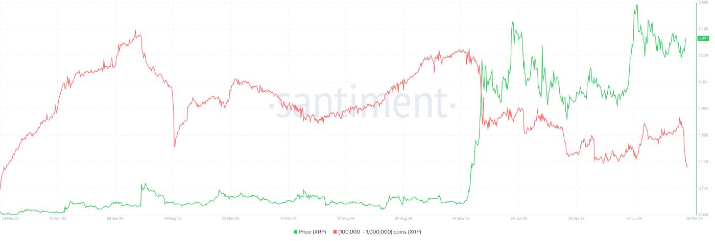 XRP 鯨魚持有量